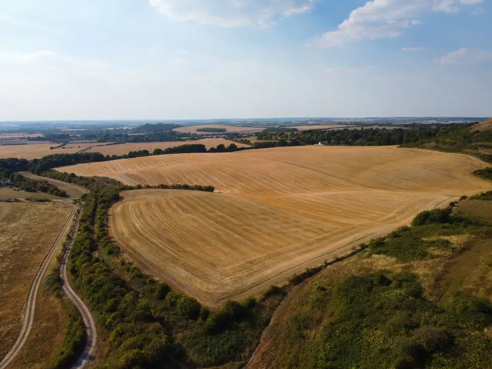 1_Dunstable Downs