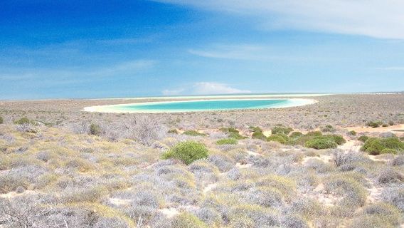 South Carnarvon
