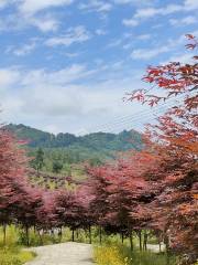 石裏紅楓鄉村旅遊度假區