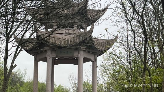 Danyang