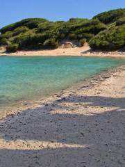 Spiaggia di Punta Lena