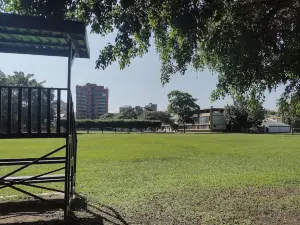 Parque El Ejército Las Ballenas