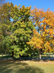 Park of Culture and Recreation