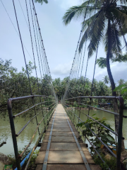 Hanging Bridge kemmannu