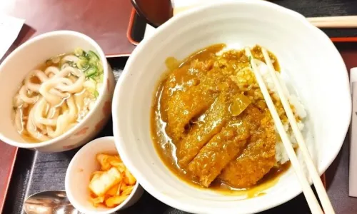 Tokumasa Udon Morinomiya