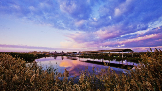 Dengkou County Beihai Wetland Scenic Area