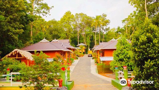 Thattekad Bird Sanctuary