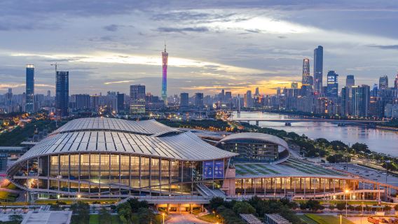 廣州廣交會中英文翻譯 （商務翻譯）|徒步一般翻譯，中文——英文，現場翻譯，陪同導覽翻譯）Ly