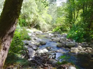 Termas Prexigueiro
