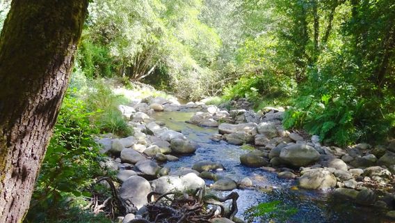 Termas Prexigueiro