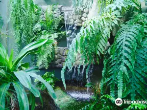 The Municipal Palm House, Gliwice