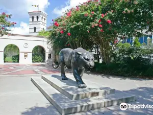 Mike the Tiger's Habitat