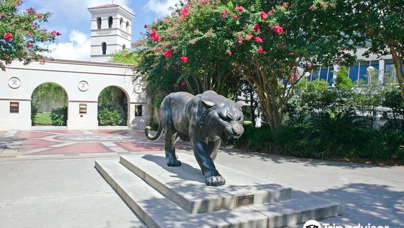 Mike the Tiger's Habitat