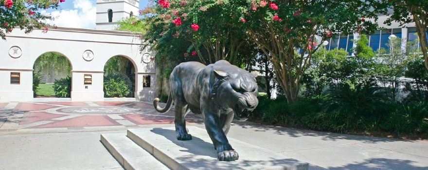 Mike the Tiger's Habitat