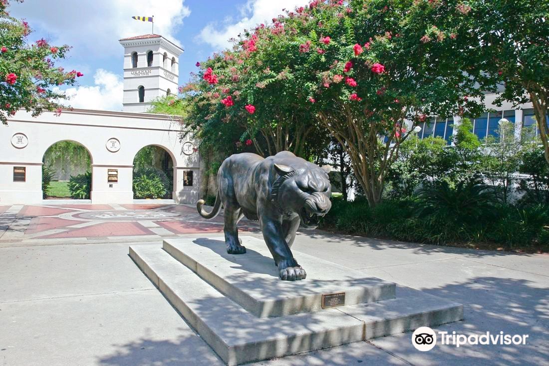 Mike the Tiger's Habitat