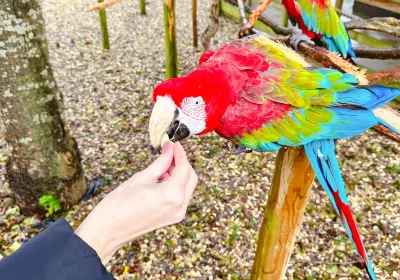 Lincolnshire Wildlife Park