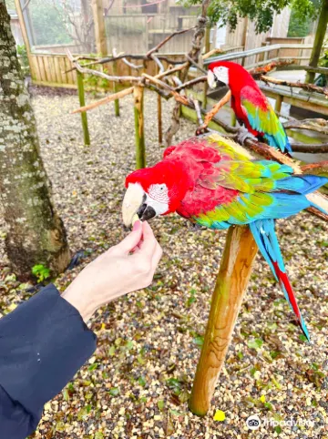Lincolnshire Wildlife Park