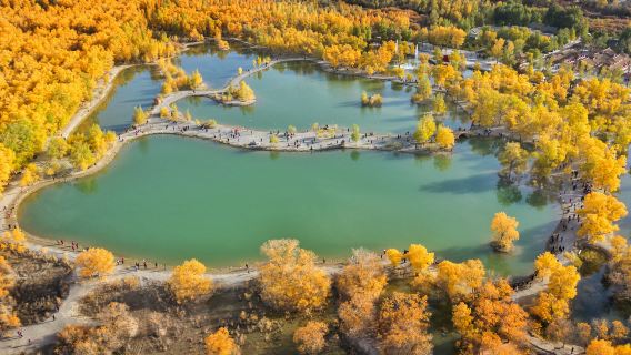 Jintashamohuyanglin