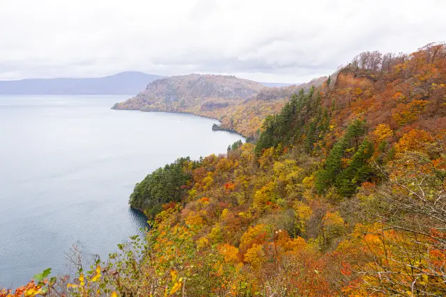 Maple Leaf Viewing in Aomori