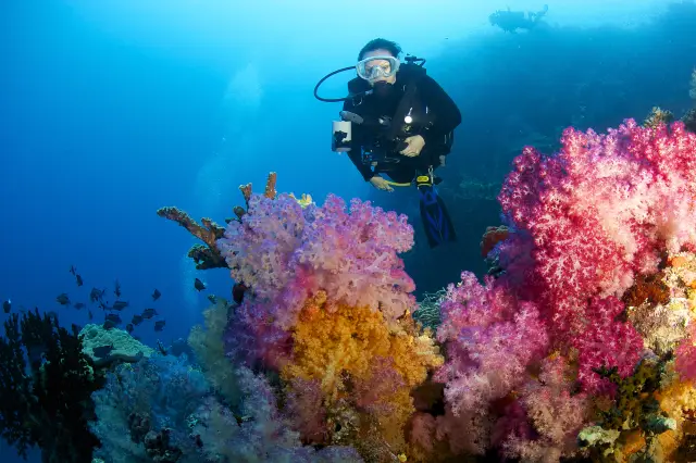 Scuba Diving in Fiji