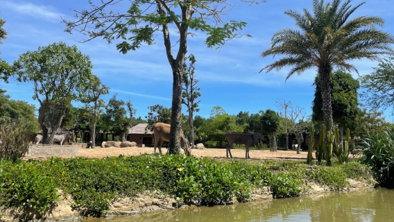 Vinpearl River Safari