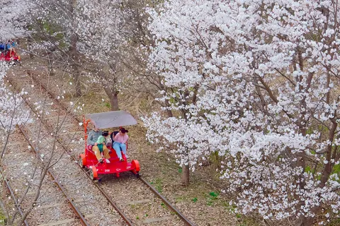 Gangchon Rail Park