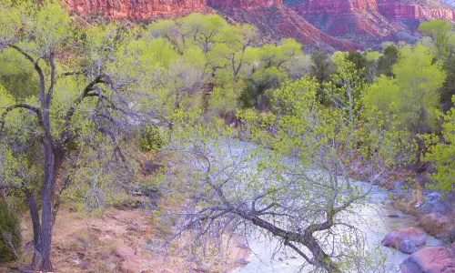 Zion-Nationalpark