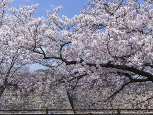 Park der Burg Ōsaka