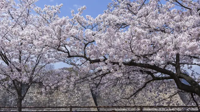 2_สวนปราสาทโอซาก้า