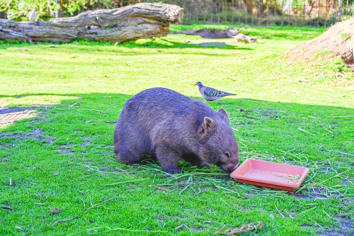 3_月光保護區野生動物保育公園