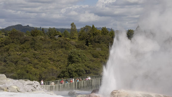 Pohutu Geyser