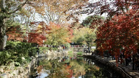 Lu Xun Park attraction in Shanghai