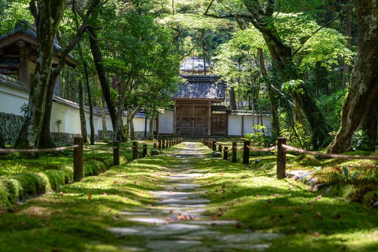 西芳寺