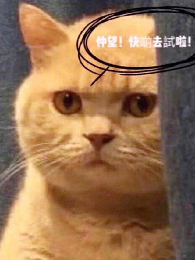 高質人氣打卡咖啡店