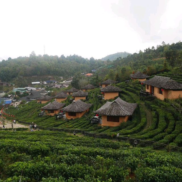 บ้านรักไทย แม่ฮ่องสอน