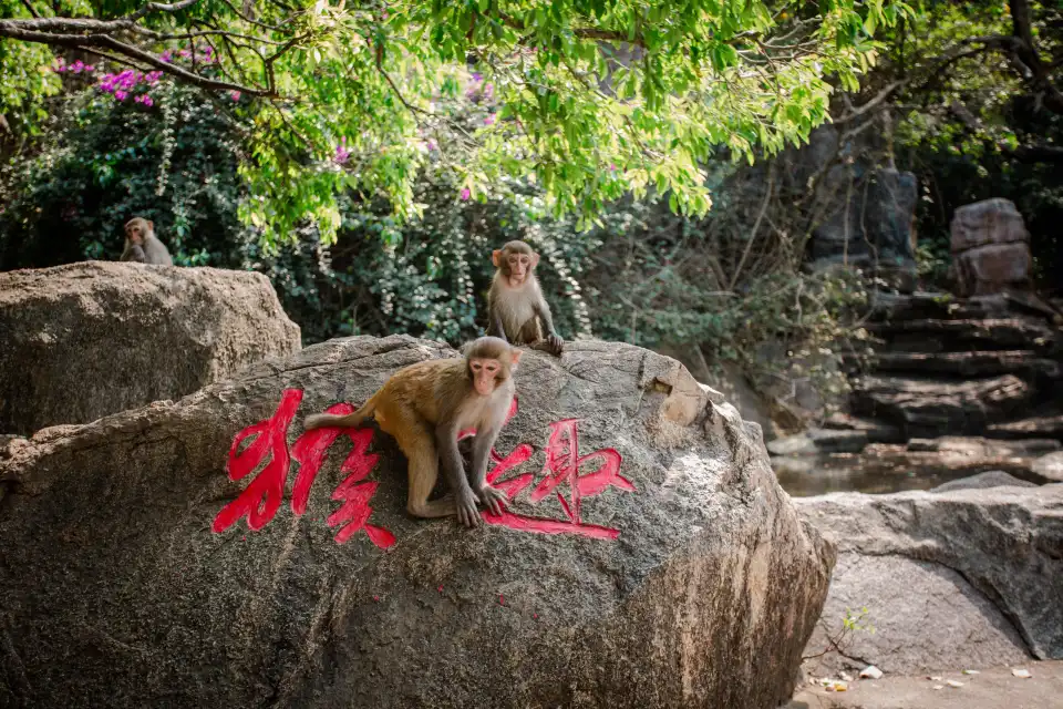 4_Nanwan Monkey Islet
