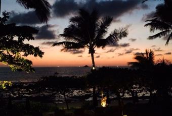 Thai Library User Photo