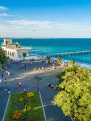 Il Giardino del Mare