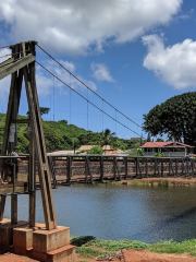 Swinging Bridges