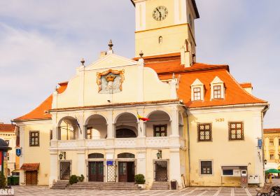 The Council Square