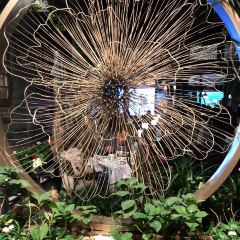 TING XIANG User Photo