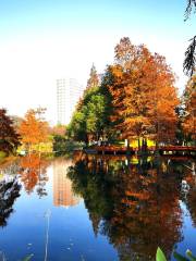 University of Science and Technology of China