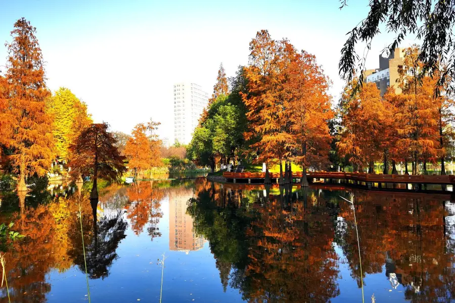 University of Science and Technology of China