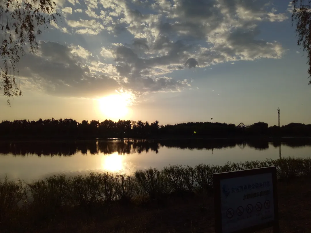 2_Grand Canal Forest Park