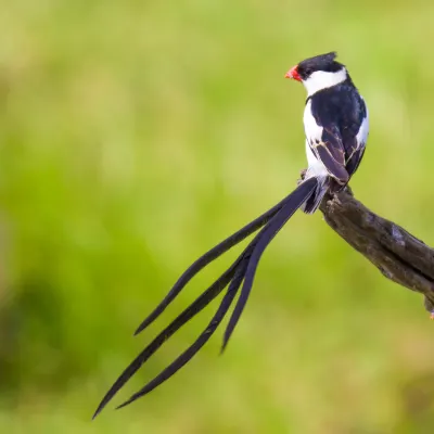 Отели с услугой фитнес-залом в г. Калгари
