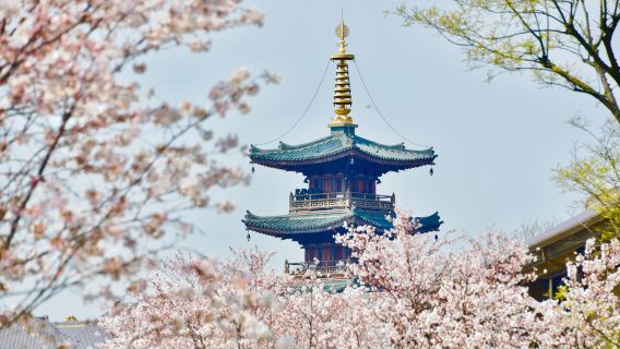 南京出發：無錫太湖黿頭渚+禪意小鎮·拈花灣一日遊【獨立包團】