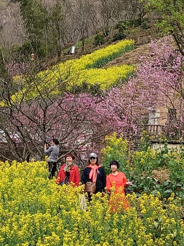 陽產土樓