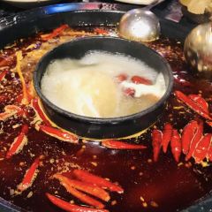蜀大俠火鍋店張用戶圖片