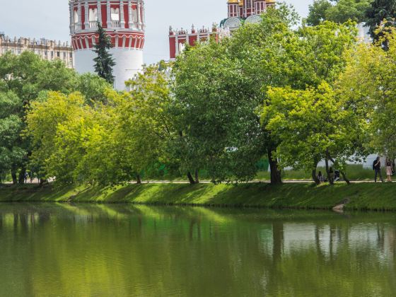 Novodevichy Convent