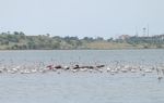 Lake Nakuru